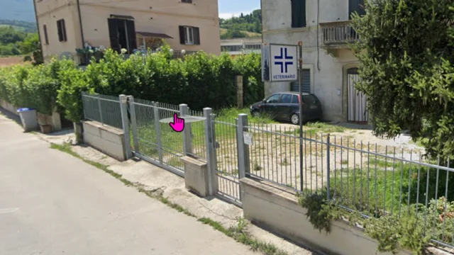 Veterinario Bottaccioli Rebecca