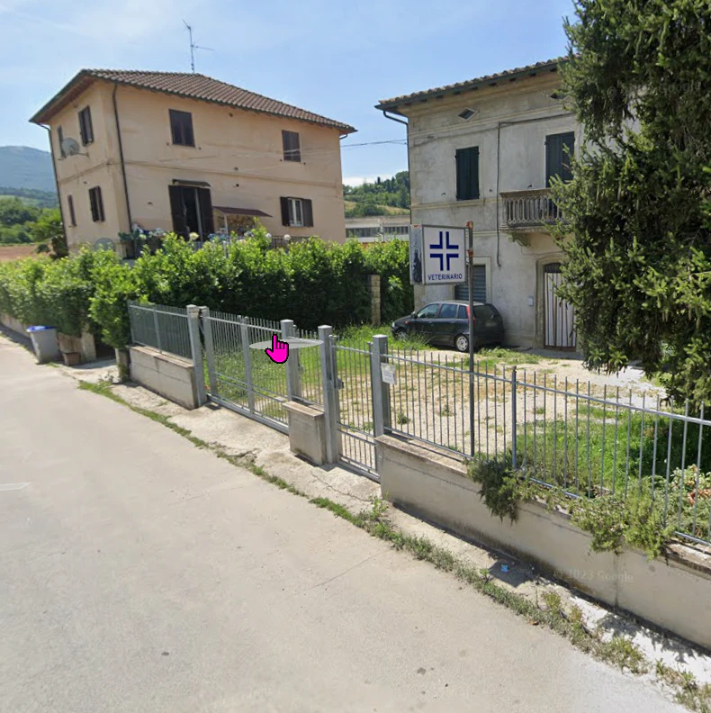 Veterinario Bottaccioli Rebecca