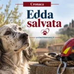 Cane salvato a Umbertide